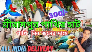 শ্রীরামপুরহাটে বিদেশি পাখি একদম কম দামে 😱😱 srirampur exotic birds price update ⭐#srirampurbirdmarket