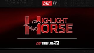 Highlight Horse - Belmont Race 7 - June 13, 2019