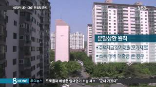 [경제] '이자만 내는 대출' 내년부터 어렵다 (SBS8뉴스|2015.07.22)