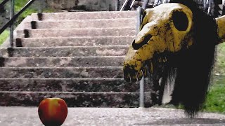 Long Horse Eats An Apple!