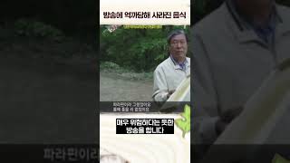 방송 한 번에 완전히 망한 프랜차이즈