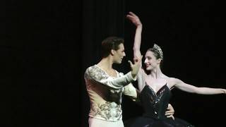 Dorothée Gilbert, Hugo Marchand - Black Swan Pas de deux (Act III) - Swan Lake/Le Lac des cygnes