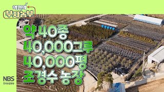 [역전의부자농부 292회] 약 40종 40,000만 그루 40,000평 조경수 농장