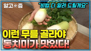 한국인이 가장 좋아하는 겨울 동치미 담그는 방법! 맛있는 무를 고르는 법부터 다양한 꿀팁까지 이 영상 하나로 끝┃최고의 요리비결┃알고e즘┃최고의 요리비결┃알고e즘