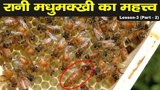 QUEEN BEE II RANI MADHUMAKKHI II रानी मधुमक्खी का मधुमक्खी पालन में महत्व।