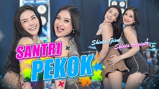 Shinta Arsinta feat. Shinta Gisul - Santri Pekok (Official Music Video) | STAR MUSIC