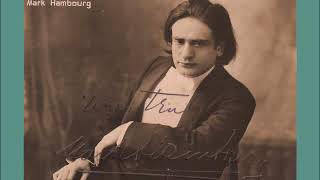 Mark Hambourg the 5 Recorded Chopin Etudes 1929