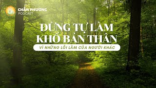 Đừng Tự Làm Khổ Bản Thân Vì Những Lỗi Lầm Của Người Khác