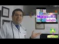 factores de transferencia video 870 dr javier e moreno