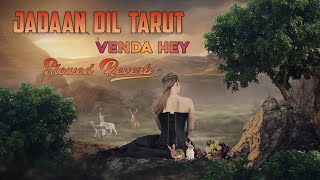 Jadaan Dil Tarut Venda Hey | New Saraiki Song 2023 | Soniya Khan | Ansar Khan | Ibrar Khan