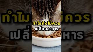 ทำถึงไม่ควรเปลี่ยนอาหารแมวบ่อย? #แมวน่ารัก #cat #แมว #เลี้ยงแมว #catlover