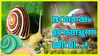 മൂന്ന് വർഷം ഉറങ്ങുന്ന ജീവി #short#youtube short#malayalam short fact