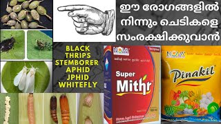 super mithr. വേനൽകാലങ്ങളിൽ തണ്ടുതുരപ്പൻ, ചൊറി ഇവയിൽ നിന്നും ചെടിയെ ദ്ധിർക്കനാൾ സംരക്ഷിക്കുവാൻ 👌👌👌