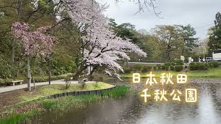 秋田千秋公園 Senshu Park, Akita, Japan