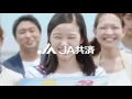 ja共済 「シートベルト着用」