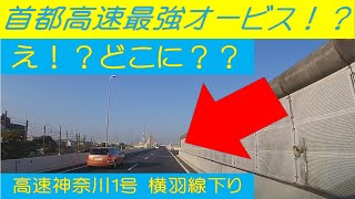 【取り締まりオービス設置場所がエグい⁉️(￣ロ￣lll)】非常駐車帯が中央にあることが最大の難所⁉️🚙💨💣️