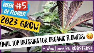 S7 E6: Wk #5 Top Dress.  How to grow weed.  + runoff necessary? “First 2023 Harvest grow”
