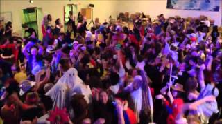 Harlem Shake - Helsingør Gymnasium Karnevalgsfest 2013