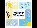 Snowflake Symphony | Weather Wonders | Little Jamz