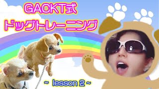 GACKT式ドッグトレーニング Lesson2