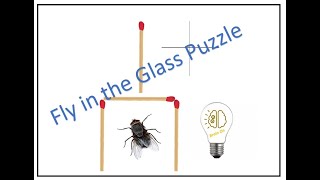 Matchstick Puzzle : Fly in the Matchstick Glass Puzzle