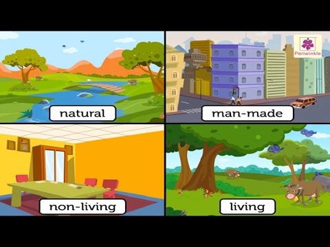 What are natural non-living things?