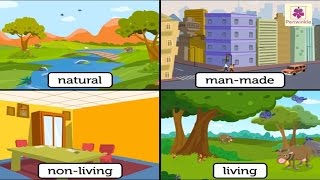 Natural And Man Made Things | Environmental Studies Grade 3 | Periwinkle