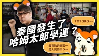 連示威都這麼有創意！泰國人為什麼要用哈姆太郎來諷刺政府？｜志祺七七