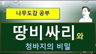 청바지와 땅비싸리는 어떤 관련?? : 땅비싸리 vs 싸리 vs 해변싸리