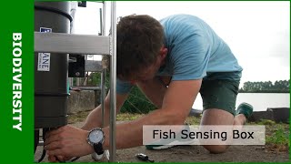 Detecting fish with the innovative Fish Sensing Box