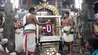 Ayikudy arulmigu Balasubrahmanya swamy thirukovil Skandasasti(2)