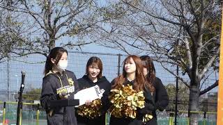 ☆彡ハニーズ★日曜だよ～　Fukuoka SoftBannk HAWKS　宮崎キャンプ２０２３『FAN! FUN! STAGE  ファーストステージ』