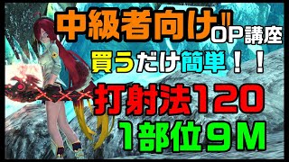 【PSO2】報酬期間外でも大丈夫！中級者向けのユニット、オススメOP付け講座！