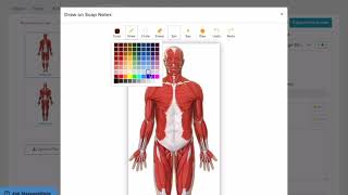 How Electronic SOAP Notes Make You a More Efficient Massage Therapist