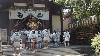 川崎山王祭　稲毛神社　令和元年　町内みこし連合渡御　宮入　駅前　2019/8/3 Kawasaki Sanno festival 46