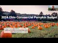 Pumpkin Enterprise Budget