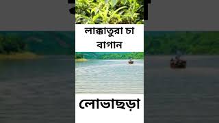 Top 10 place In Sylhet, সিলেটর শীর্ষ ১০ স্থান ।