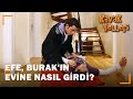 Efe; Deniz'i, Burak'ın Elinden Nasıl Kurtardı?  - Kavak Yelleri 76.Bölüm