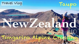 NewZealand Travel Vlog｜A spectacular trip to NZ! A beginner climbed the Tongarilo Alpine Crossing!