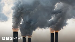 Climate crisis: New carbon capture method revealed by scientists - BBC News