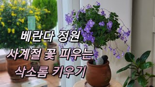 이렇게 쉬운데 요걸 왜 몰랐지 #외목대삭소롬