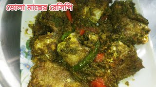 ধনেপাতার ভোলা মাছের সুস্বাদু রেসিপি।