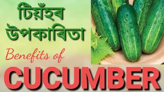 Benefits of Cucumber || টিয়ঁহৰ  উপকাৰিতা || S1- Ep#3