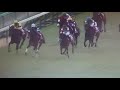 3 6阪神11rチューリップ賞の的中馬券❗。。。