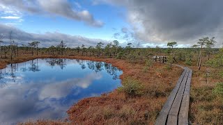 Exploring Kemeri National Park in Latvia