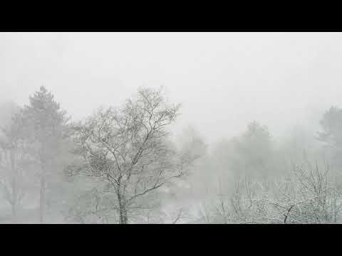Snowstorm Snowstorm