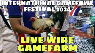 IGF 2024 | LIVE WIRE GAMEFARM (Jap Gagalac) || BALERIANS GAMEYARD