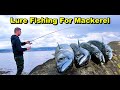 EASY Mackerel Fishing - Catching and cooking the freshest fish on the shore