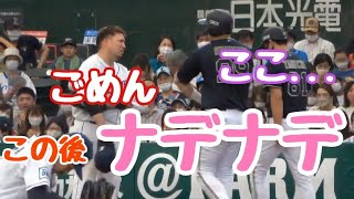 死球「ごめん、大丈夫??」と杉本裕太郎に謝って腕をナデナデする山川穂高　2022/06/19