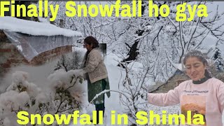 शिमला मे फिर गिरी बर्फ // Snowfall in shimla // pahadi   jahan // Lifestyle vlog ♥️